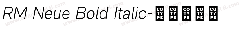 RM Neue Bold Italic字体转换